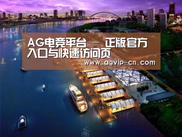 案例展示八