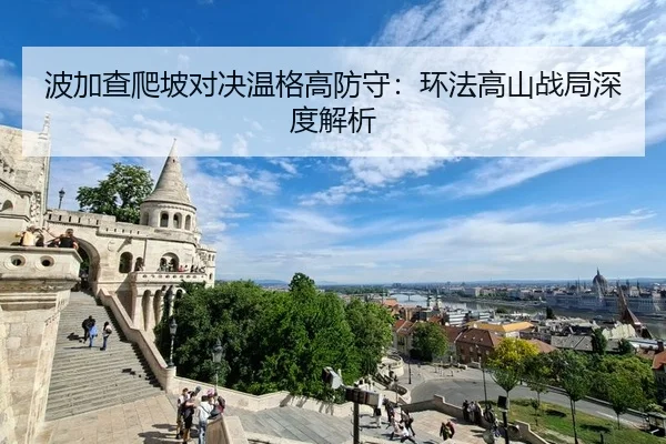 波加查爬坡对决温格高防守：环法高山战局深度解析