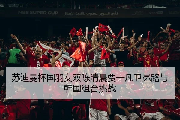 苏迪曼杯国羽女双陈清晨贾一凡卫冕路与韩国组合挑战