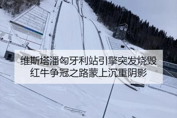 维斯塔潘匈牙利站引擎突发烧毁 红牛争冠之路蒙上沉重阴影