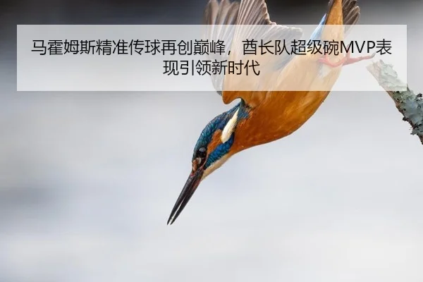 ma-huo-mu-si-jing-zhun-chuan-qiu-zai-chuang-dian-feng-qiu-zhang-dui-chao-ji-wan-biao-xian-yin-ling-xin-shi-dai-2-348.jpg