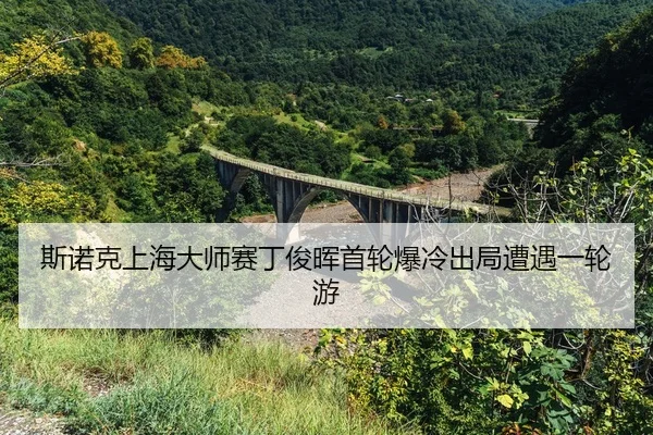 si-nuo-ke-shang-hai-da-shi-sai-ding-jun-hui-shou-lun-bao-leng-chu-ju-zao-yu-yi-lun-you-2-597.jpg