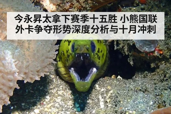 今永昇太拿下赛季十五胜 小熊国联外卡争夺形势深度分析与十月冲刺