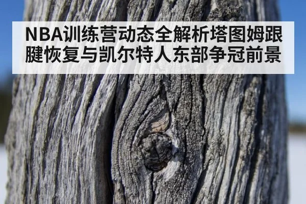 NBA训练营动态全解析塔图姆跟腱恢复与凯尔特人东部争冠前景